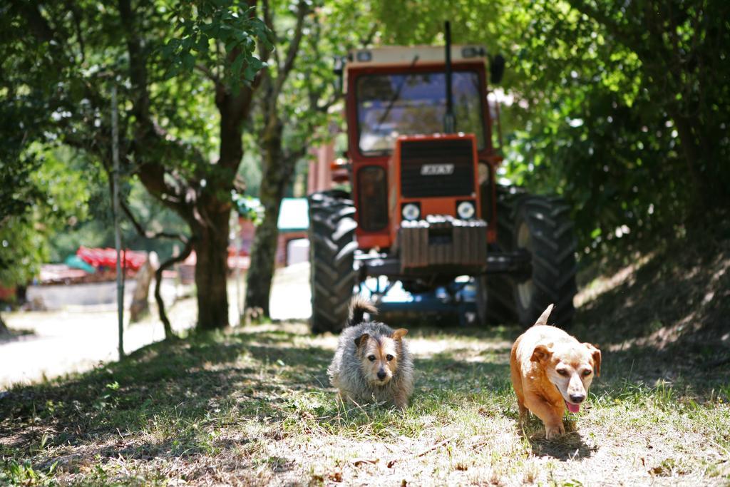 伊尔城堡农庄旅馆 阿西西 外观 照片